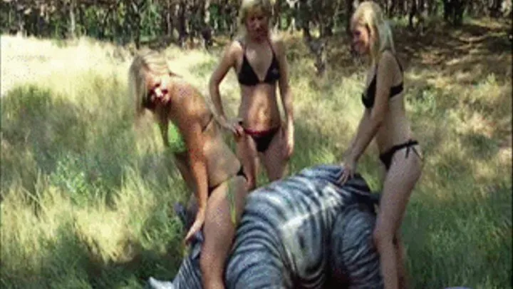 3 blondes outdoors on a rhino