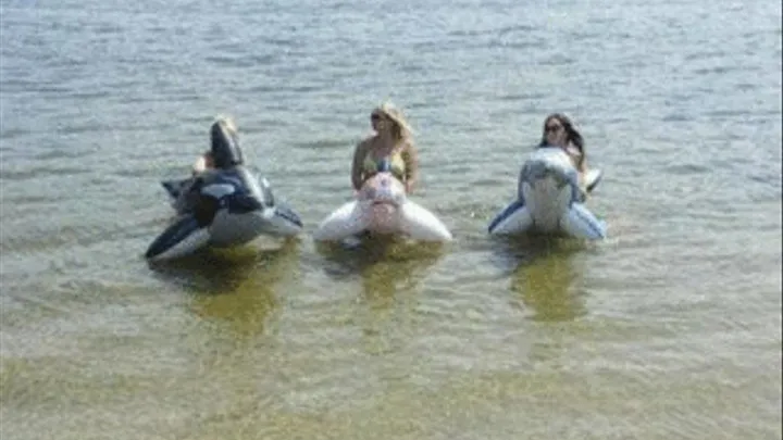 3 Girls deflating their pooltoys