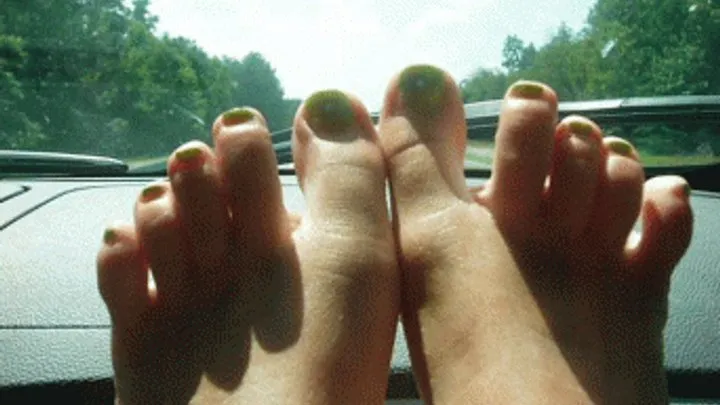 Road Trip Foot Ignore