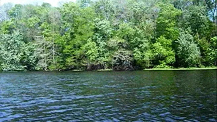 Paddle Boat Pedal Pushers