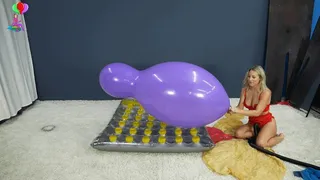 Bunny Inflates Huge Balloons Prior to Shoot