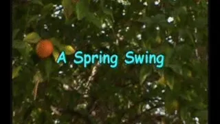 Spring Swing HJ