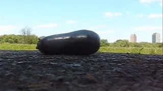 Eggplant Walkover