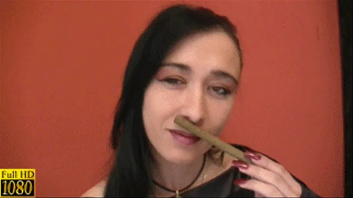 Lady Jenny Cigar clip