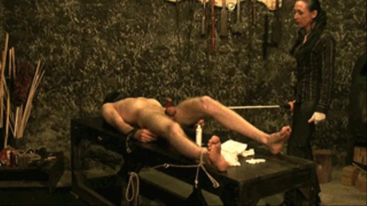 Private session 8. Extreme electro interrogation.