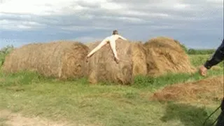 Hay bale Whipping