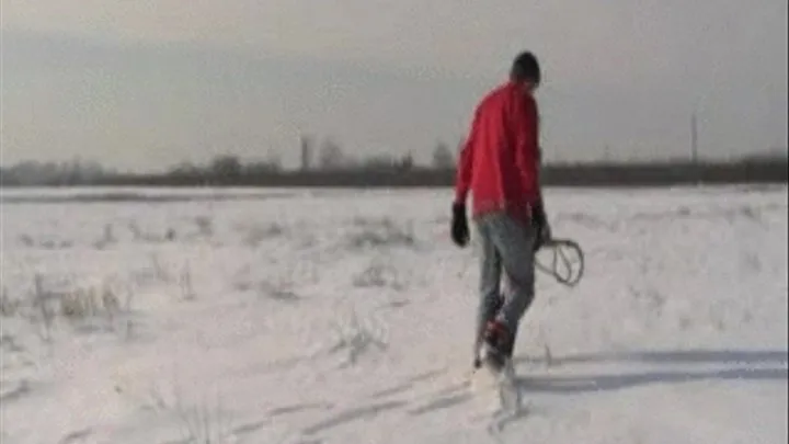 Winter Pony Discipline