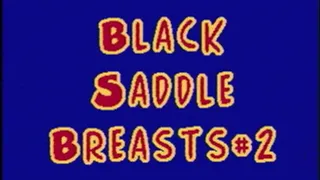 Black Saddle Breast-2 (Full Video)