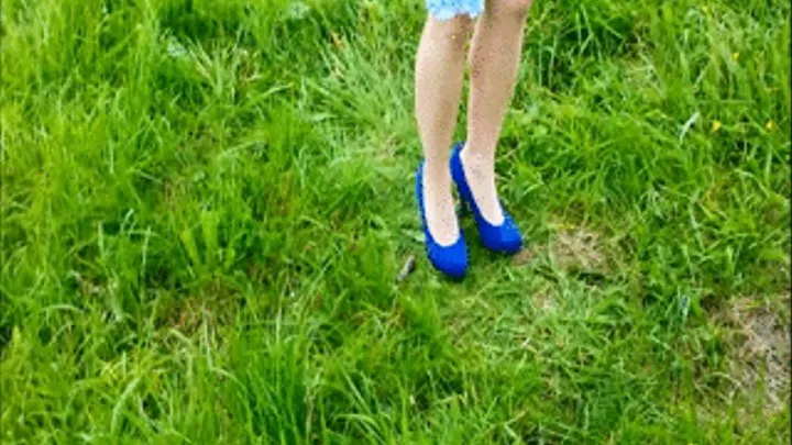 Blue Pumps in the Grass - Angle 1