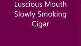 Luscious Mouth Slowly Cigar Smoking