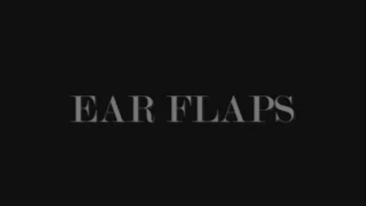 -EAR FLAPS