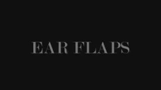 -EAR FLAPS