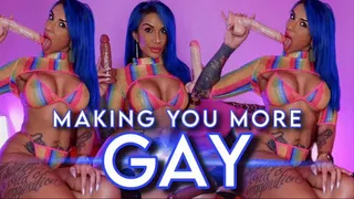 Making You More Gay in 2024