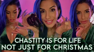 Chastity is For Life, Not Just For Christmas