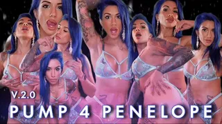 Pump 4 Penelope v2