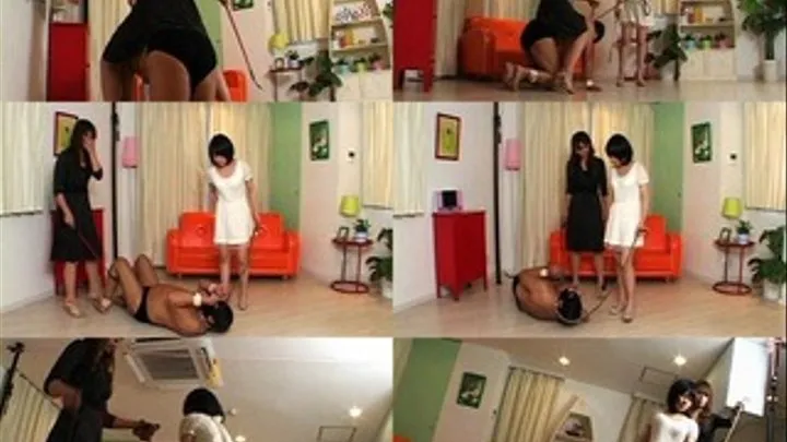 Human Pet Slave Whipped to Submission! - Part 1 - ZR-006 (Faster Download)