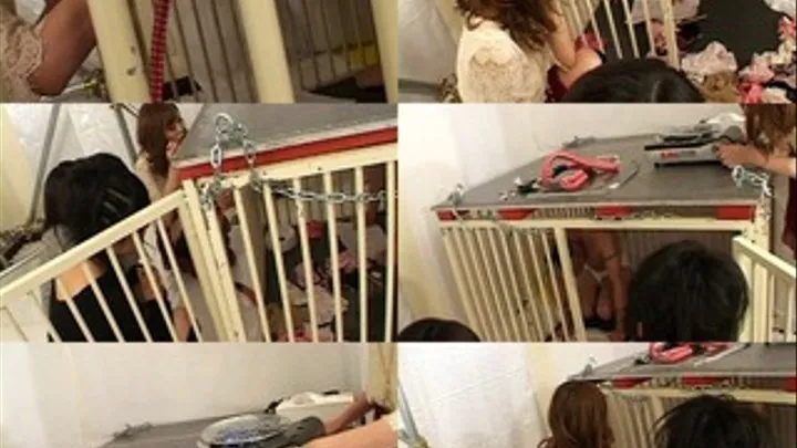 Three Dominatrix Place Pet On CAGE! - Part 2 (Faster Download)