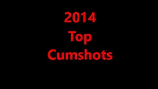Top Cumshots 2014