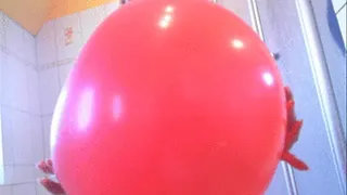 The mega giant balloon