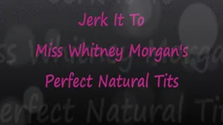 Perfect Natural Tits JOI with Whitney