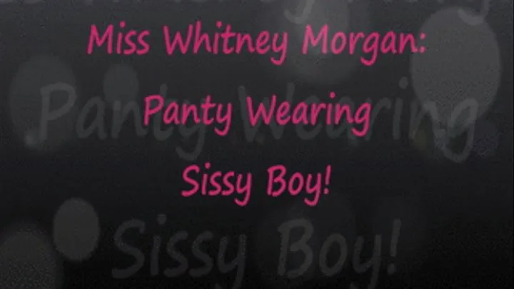 Miss Whit: You Panty Wearing Sissy Boy