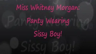 Miss Whit: You Panty Wearing Sissy Boy