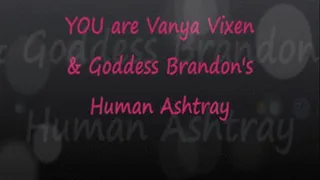 YOU Are Vanya & Brandon's Human Ashtray