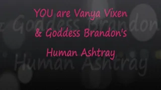 YOU Are Vanya & Brandon's Human Ashtray