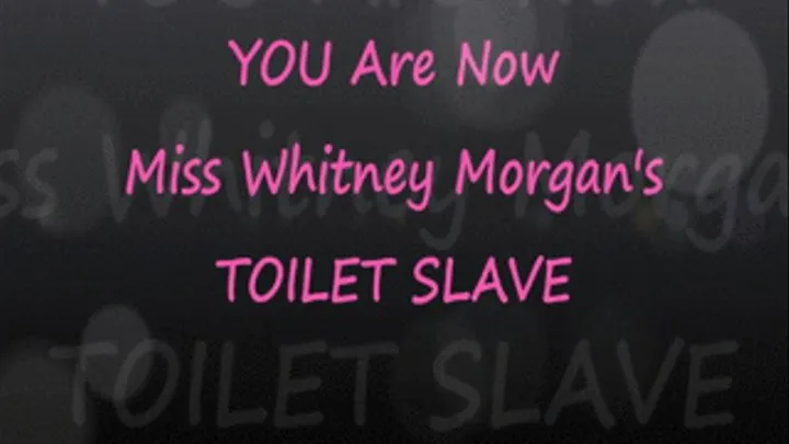 YOU Are Miss Whitney's Human Toilet