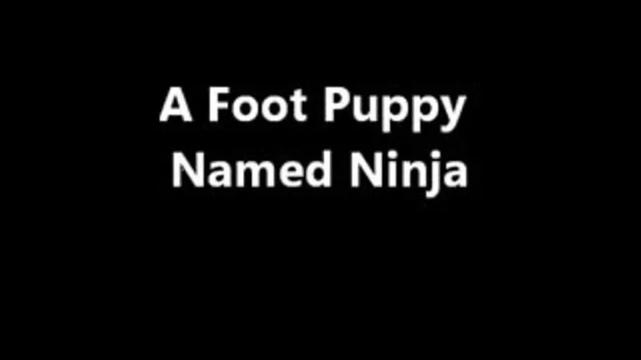 A Foot Puppy Named Ninja