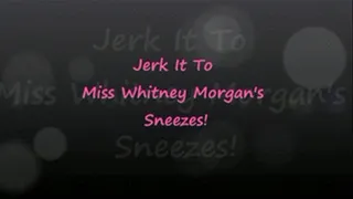 Jerk It To My Sneezes!