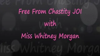 Free From Chastity JOi with Miss Whitney