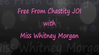 Free From Chastity JOi with Miss Whitney