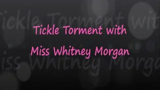 Male Tickle Torment with Miss Whitney Morgan