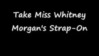 Take Miss Whitney Morgan's Strap-On