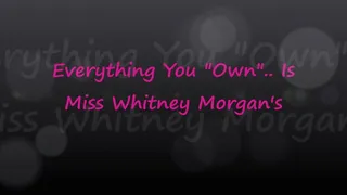 Everything You Own Is Miss Whitney Morgan's