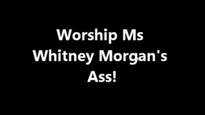 Worship Ms Whitney Morgan's Ass