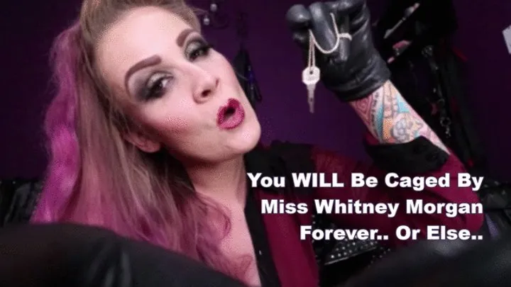 You Will Be Caged By Miss Whitney Morgan Forever Or Else