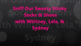 Sniff Our Sweaty Stinky Socks & Shoes