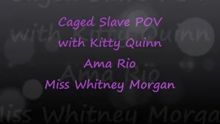 Caged Slave At The Feet Of Kitty Whitney Ama