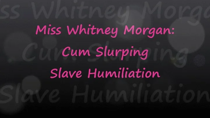 Miss Whitney Morgan: Cum Slurping Slave Humiliation