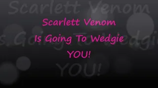 Scarlett Venom Is Going To Wedgie You