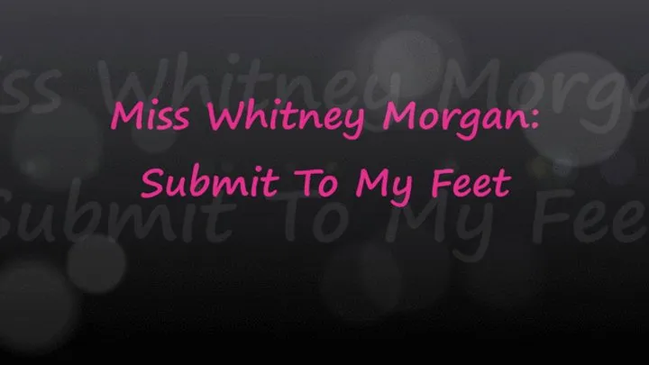 Miss Whitney Morgan: Submit To My Feet