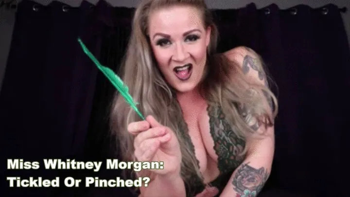 Miss Whitney Morgan: Tickled Or Pinched