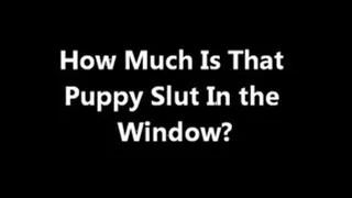 YOU Are My New Puppy Slut