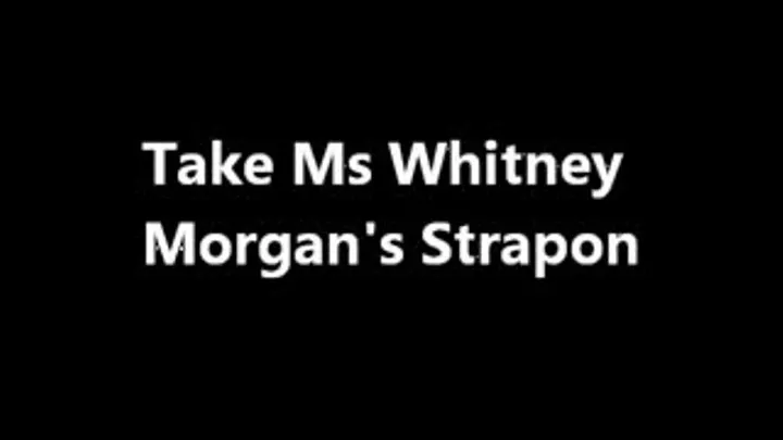 Take Miss Whitney Morgan's Strap-On POV