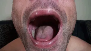 Lance mouth