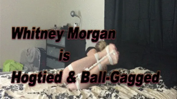 Whitney Morgan Hogtied & Ball-Gagged