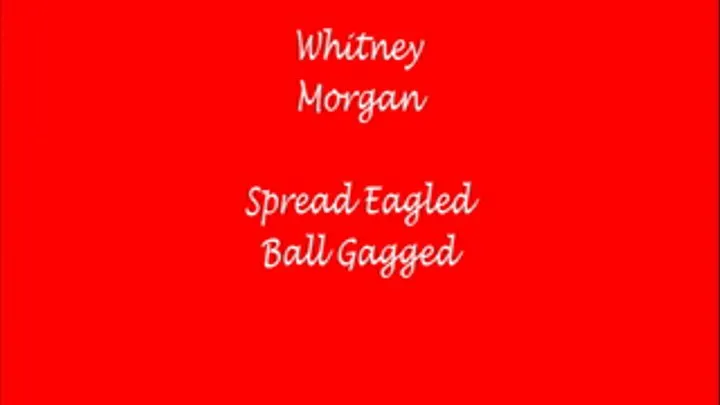 Whitney Morgan spread eagle ballgag