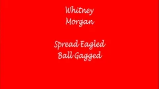 Whitney Morgan spread eagle ballgag